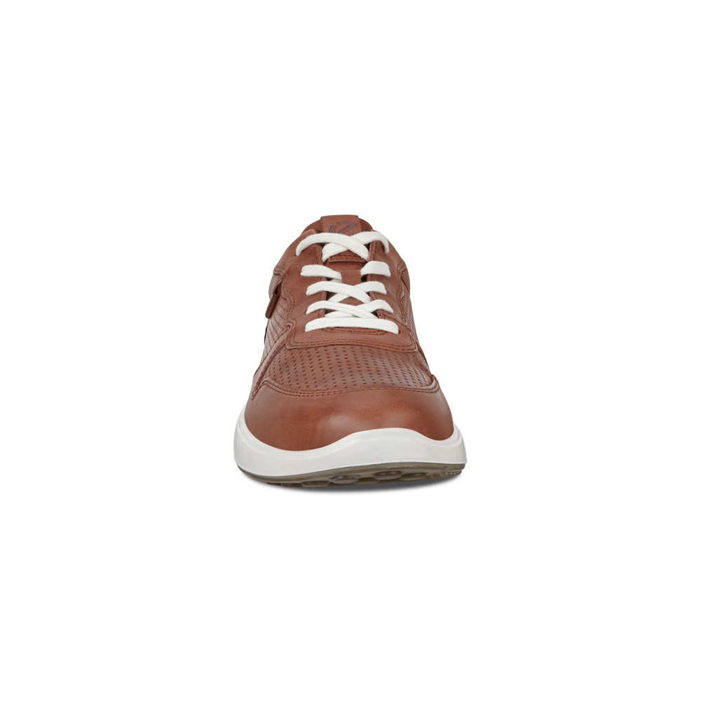Mens Sneakers - ECCO Soft 7 Runner Lace-Ups - Brown - 1529DJHRU